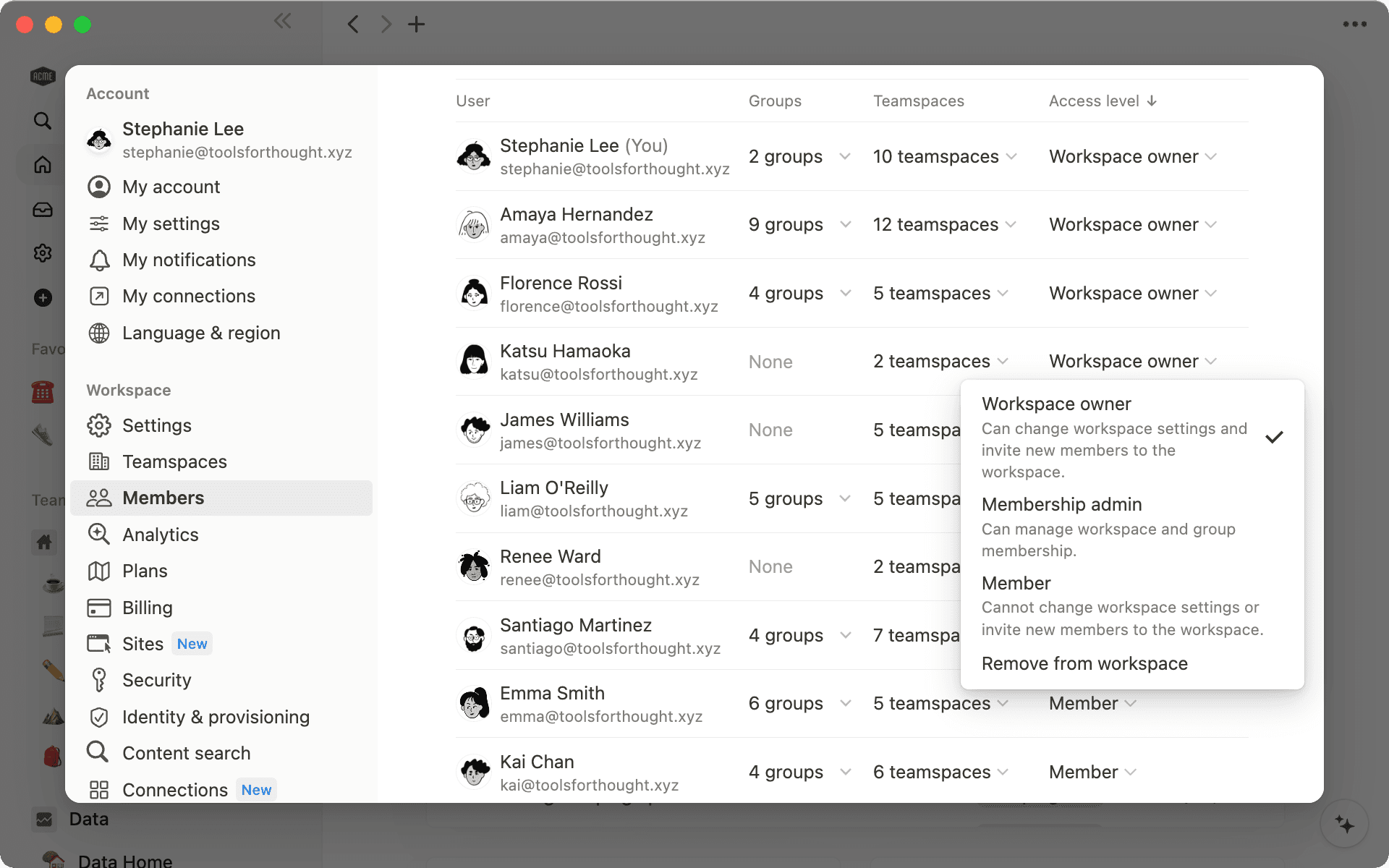 Altere o nível de acesso de colegas de equipe usando o menu suspenso ao lado dos nomes.